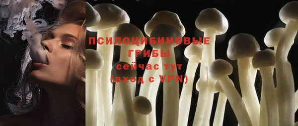 ГАЛЛЮЦИНОГЕННЫЕ ГРИБЫ Остров