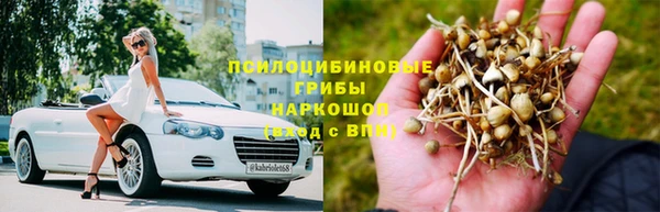 ешки Осташков