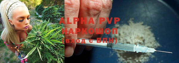 ГАЛЛЮЦИНОГЕННЫЕ ГРИБЫ Остров